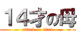 １４才の母 (attack on titan)