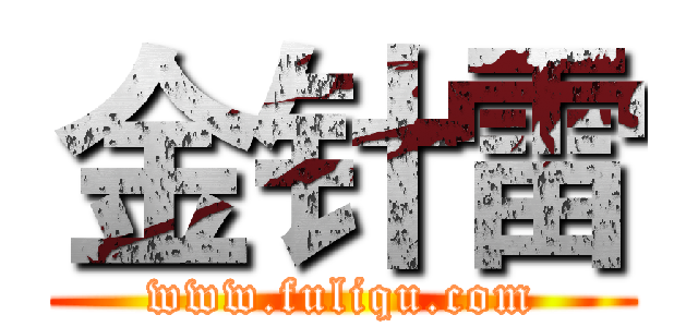 金针雷 (www.fuliqu.com)