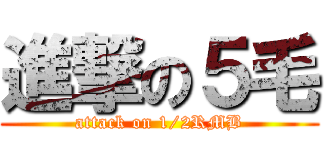 進撃の５毛 (attack on 1/2RMB)