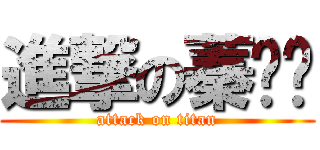 進撃の蓁姊姊 (attack on titan)