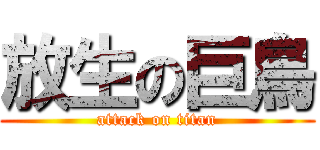 放生の巨鳥 (attack on titan)