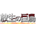 放生の巨鳥 (attack on titan)