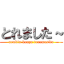 とれました～ (nenkin kouza toremasita)
