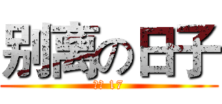 别离の日子 (再见 17)