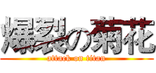 爆裂の菊花 (attack on titan)