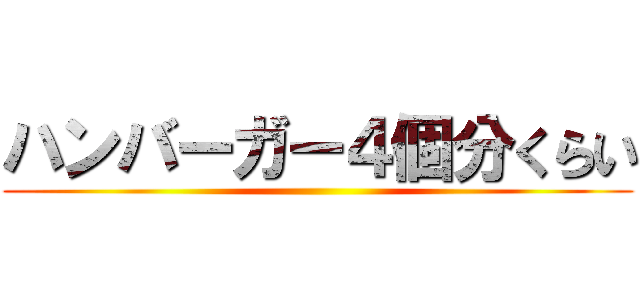 ハンバーガー４個分くらい ()