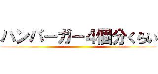 ハンバーガー４個分くらい ()