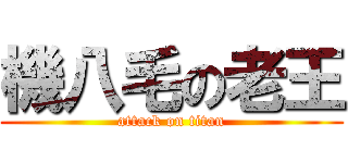 機八毛の老王 (attack on titan)