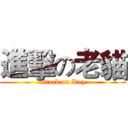 進擊の老貓 (attack on Roy)