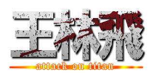 王林飛 (attack on titan)