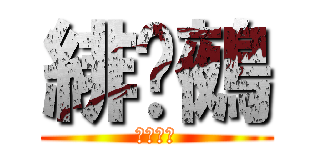 緋祤鵺 (安安你好)