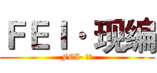 ＦＥＩ· 现编 (FEI· 现编)