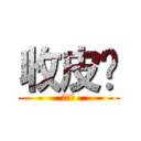 收皮啦 (收皮啦)