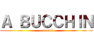 Ａ ＢＵＣＣＨＩＮ (e mammt)
