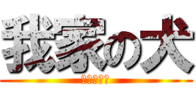 我家の犬 (ＳＨＩＯＮ)