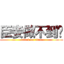 臣妾做不到啊 (attack on titan)