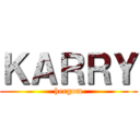 ＫＡＲＲＹ (hergom)