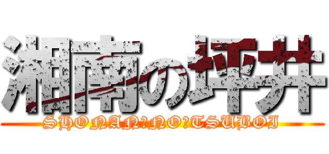 湘南の坪井 (SHONAN　NO　TSUBOI)
