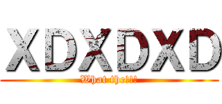 ＸＤＸＤＸＤ (What the!!!)