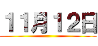 １１月１２日 ()