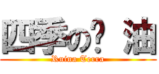 四季の醬 油 (Ruina Terra)