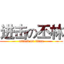 进击の丕林 (attack on titan)
