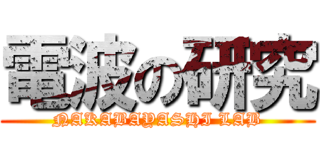 電波の研究 (NAKABAYASHI LAB)