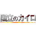 国立のカイロ (土日もやってます)