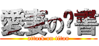 愛妻の彥書 (attack on titan)