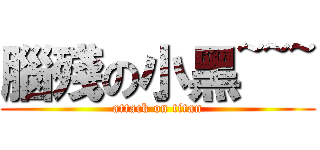 腦殘の小黑~~~ (attack on titan)