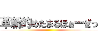 革新的めたまるほぉーぜっ ()