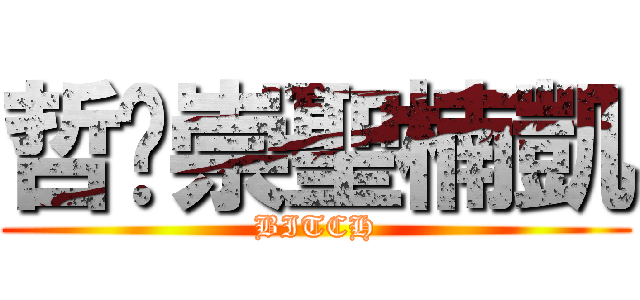 哲瑋崇聖楠凱 (BITCH)