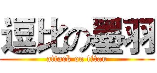 逗比の墨羽 (attack on titan)