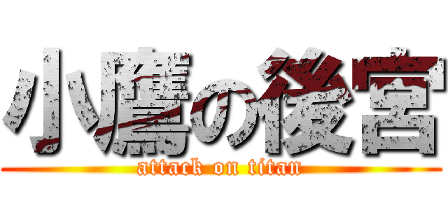 小鷹の後宮 (attack on titan)