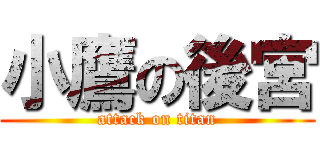 小鷹の後宮 (attack on titan)