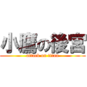 小鷹の後宮 (attack on titan)