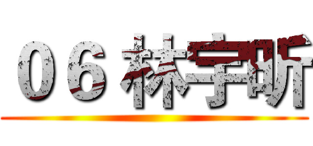 ０６ 林宇昕 ()