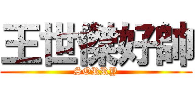 王世傑好帥 (SORRY)