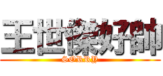 王世傑好帥 (SORRY)