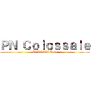 ＰＮ Ｃｏｌｏｓｓａｌｅ (IV PN 2020 Roma)