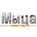 Мыца (атака на школу)