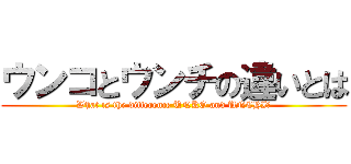 ウンコとウンチの違いとは (What is the difference UNKO and UNCHI?)