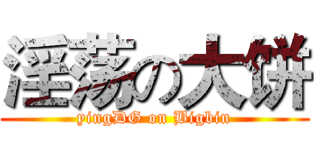 淫荡の大饼 (yingDG on Bigbin)