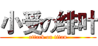 小受の绯叶 (attack on titan)