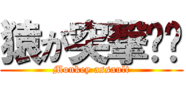 猿が突撃‼︎ (Monkey assault)