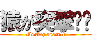 猿が突撃‼︎ (Monkey assault)