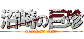 沼崎の巨珍 (attack on titan)