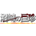 沼崎の巨珍 (attack on titan)