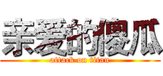 亲爱的傻瓜 (attack on titan)