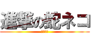 進撃の蛇ネコ (パズドラ)
